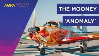 Mooney Owner Orders Airplane Paint in the Blind