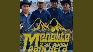 Tú Llegaste