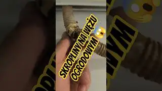 Czegoś takiego jeszcze nie widziałem #klimspec #klimatyzacja #klimatyzacjawrocław #airconditioner