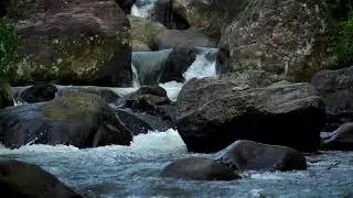 River Sound for Deep Sleep Flow White Noise with Gentle Stream Sound for Relaxation