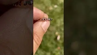 Gold fill gem bead ring #jewelry #handmadejewelry #asmr #handmade #ring #gold #goldsmith