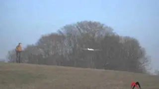 Hype FOX Testing