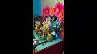 Gosavi family Ganeshutsav 2020