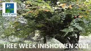 TREE WEEK IN INISHOWEN 2021
