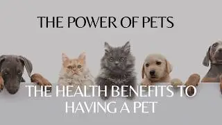 Health benefits to having a pet...just in case you needed another reason to get a pet!!