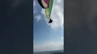 Ozone Buzz z5 / 95-115 kg / 2016