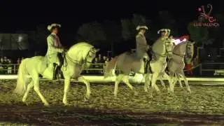 Gala Equestre  Lisboa  - Luis Valença 2016