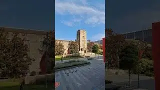 Walk with me to the University of Sydney