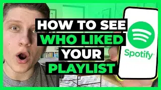 How To See Who Liked Your Playlist on Spotify