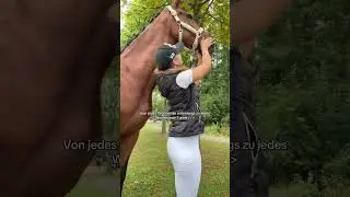 Deshalb Reiterfreundin super, die baut kein Schei&szlig; betrunken😅😂 #tunier #horses