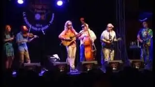 Garcia Grass - Shady Grove
