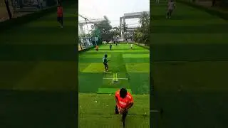 One Ball, Many Reactions 👀