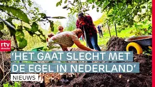 Elim heeft eerste egelburcht van Nederland & wereldrecord simultaandammen gehaald | RTV Drenthe