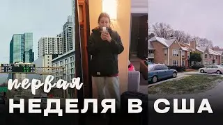 ПЕРВАЯ неделя в США. Переезд, ПОИСК КВАРТИРЫ и жизнь с нуля