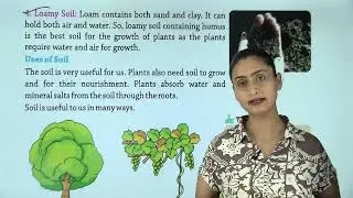 Ch 7 | Rocks And Soil | Catch Up With Science | Class 03 | Growing Mind | For children