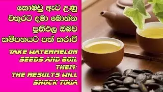 Watermelon Seed Tea Recipe And Health Benefit