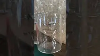 High borosilicate glass mug~
