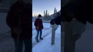 Security Cam Captures Man Confronting a Moose #securitycamera #shortsviral #shortvideo #viral #moose