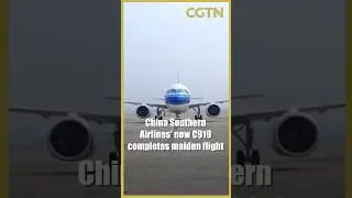 China Southern Airlines' new C919 completes maiden flight