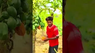 😅#shorts #comedyshorts #viral #funnyshorts #comedy videos #trending#viralvayyari
