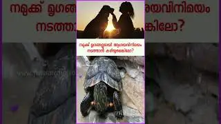 What If: The Future of Human-Animal Conversations ||EP : 2 || Ficus Meida || #malayalam #shorts
