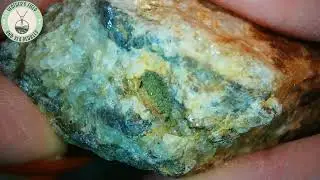 Polished Fluorite Specimens