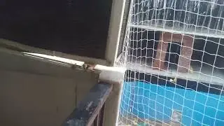 Bird net installation good service balcony 