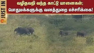 Wild Elephant Roaming | Mettupalayam | Forest Dept Warning to Public | Latest News | Sunnews