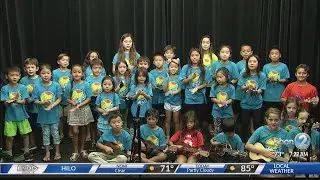Hanahauoli Children's Fair