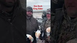 Sea Duck Hunt, Saint Paul Island, Alaska #duckhunting #hunting #duckhunter #waterfowlhunting