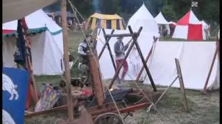 Аркебузы и кулеврины 2010