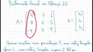 Decomposição LU com Pivoteamento Parcial - Sistema Linear - Cálculo Numérico