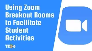 Using Zoom Breakout Rooms to Facilitate Student Activities