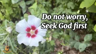 Do Not Worry, Seek God First | Powerful Christian Worship Song (Matthew 6:24-34) | Official Lyrics 