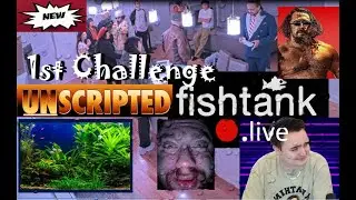 FishTank.Live Day1 Sam Hyde ENTER 1st Challenge #samhyde #fishtank #fishtanklive #funny #bigbrother