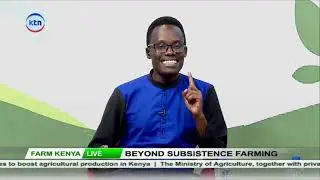 Farm Kenya || Beyond subsistence farming