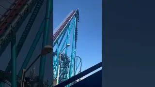 Dropping 200 feet down on mako at seaworld Orlando! #mako #seaworld #rollercoaster #fun #shorts