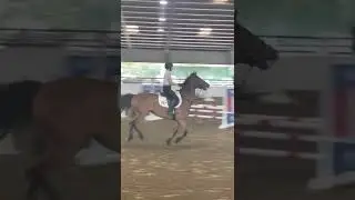 GSEC Round Up - 0.90 jumpers