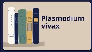 Bsc 1st year Plasmodium vivax life cycle complete | ZoologyDecode 