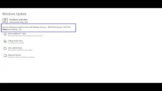 Security Intelligence update for Microsoft Defender Antivirus - KB2267602 (Version 1.341.776.0 )