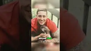 Wade Wilson | From Convict to Controversial Heartthrob