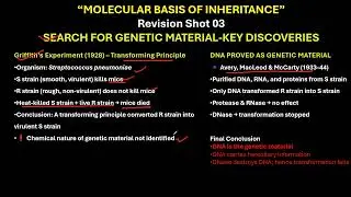 CBSE GRADE 12 GRIFFITH'S EXPERIMENT  Molecular Basis of Inheritance 3
