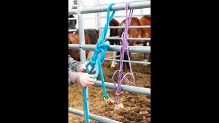 How to Tie Your Mouthy Horse: 