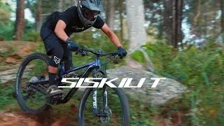 POLYGON SISKIU T SERIES - Product Overview
