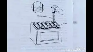 Specific gravity test (Part 2)