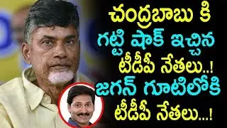 TDP Senior Leader Joins YSRCP || చంద్రబాబుకి గట్టి షాక్ ఇచ్చిన టీడీపీ నేతలు....! || Taja News