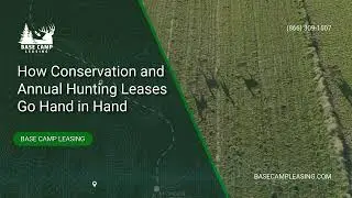 How Conservation and Annual Hunting Leases Go Hand in Hand | Base Camp Leasing
