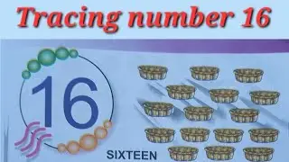 Trace Number 16 | Trace numbers | #trace