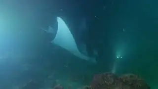 Malediwy 2022 Night Dive with Mantas Gdynia Dive