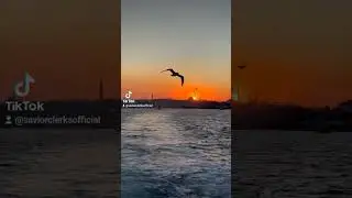 Savior Clerks - Bon Voyage (Melodic Deep House Oriental 2026) #melodicdeephouse #oriental #vibes